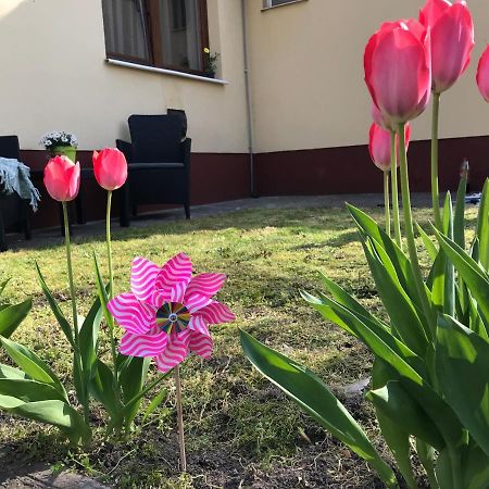 Casa Marherita Appartman Hajdúszoboszló المظهر الخارجي الصورة