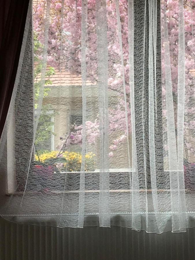 Casa Marherita Appartman Hajdúszoboszló المظهر الخارجي الصورة